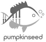 Pumpkinseed